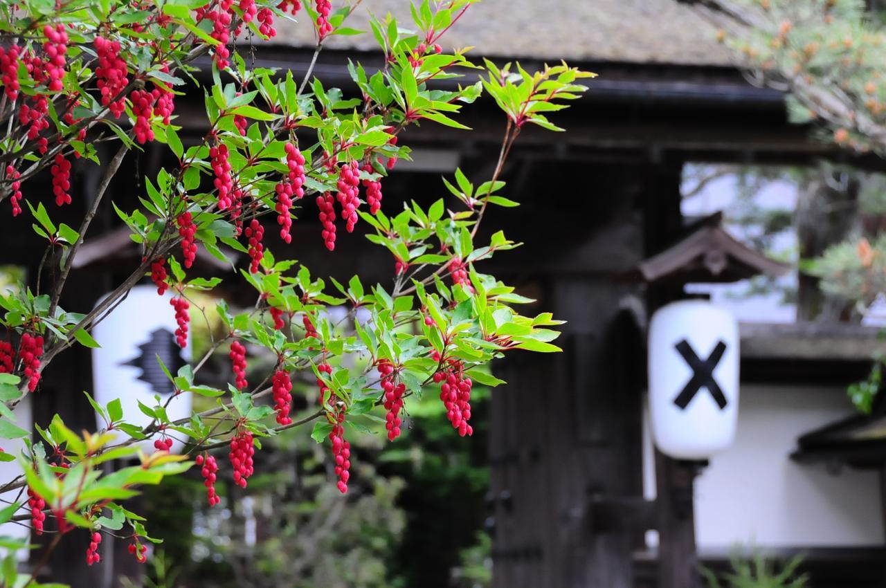 Sanboin Hotel Koyasan Buitenkant foto